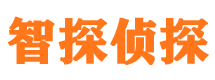 大新市侦探公司